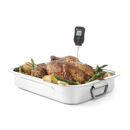 Thermomètre digital avec sonde_2