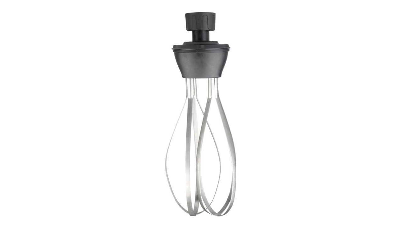 Accessoire fouet pour mixeurs plongeurs