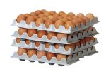 HENDI 870792 Set de 4 plateaux à œufs pour HENDI OVOBOX 120 - Ustensiles de cuisine professionnel CHR Distrib