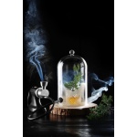 Cloche en verre avec aération_3