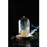 Cloche en verre avec aération_2
