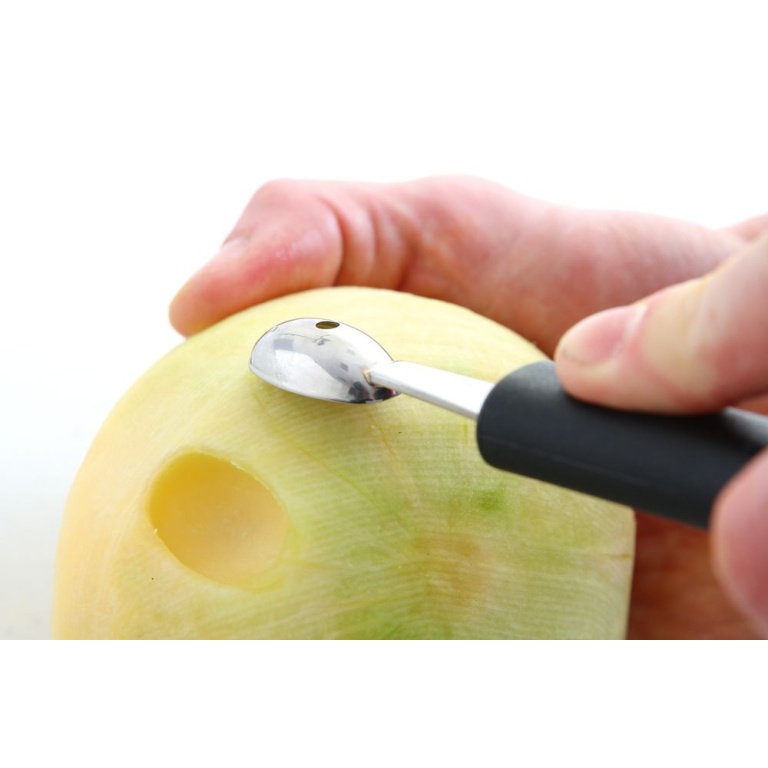 Cuillère à melon_2