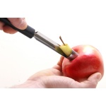 Vide-pommes_2
