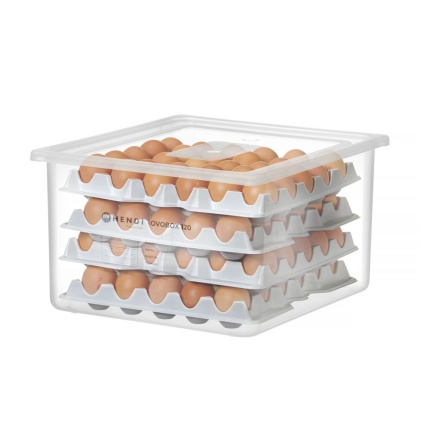 Boîte à œufs OVOBOX 120