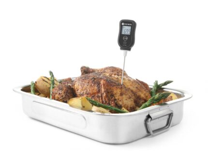 Thermomètre digital avec sonde_2