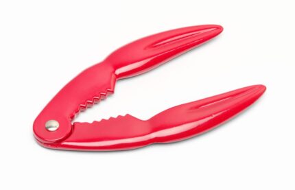 Pince à crabe et à homard