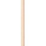 Brosse nettoyante pour four à pizza