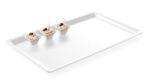 Plateaux gastronormes bord fin_2