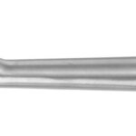 Cuillère à glace