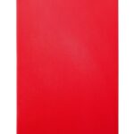 Planche à découper HACCP 600x400