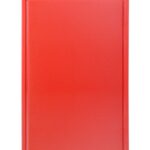 Planche à découper HACCP Gastronorme 1/1