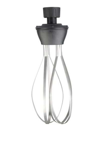 Accessoire fouet pour mixeurs plongeurs