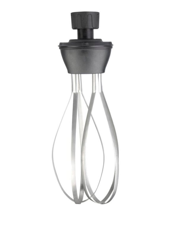 Accessoire fouet pour mixeurs plongeurs