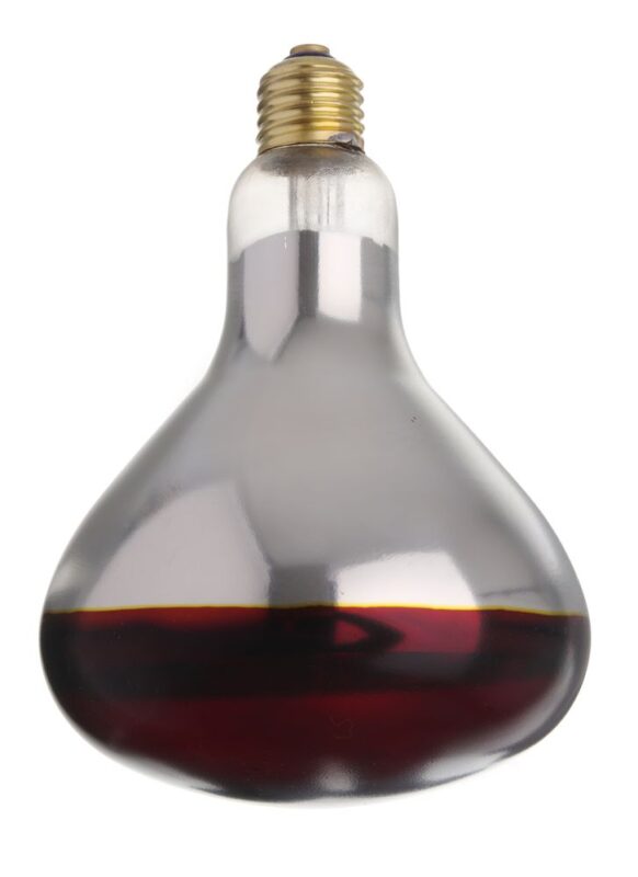 Ampoule infrarouge chauffante_2