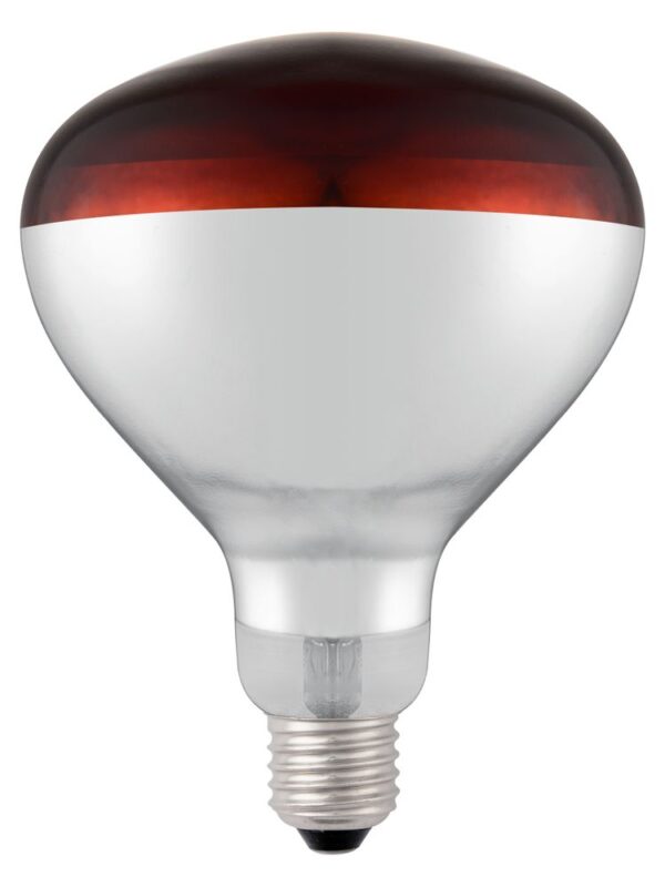 Ampoule infrarouge chauffante